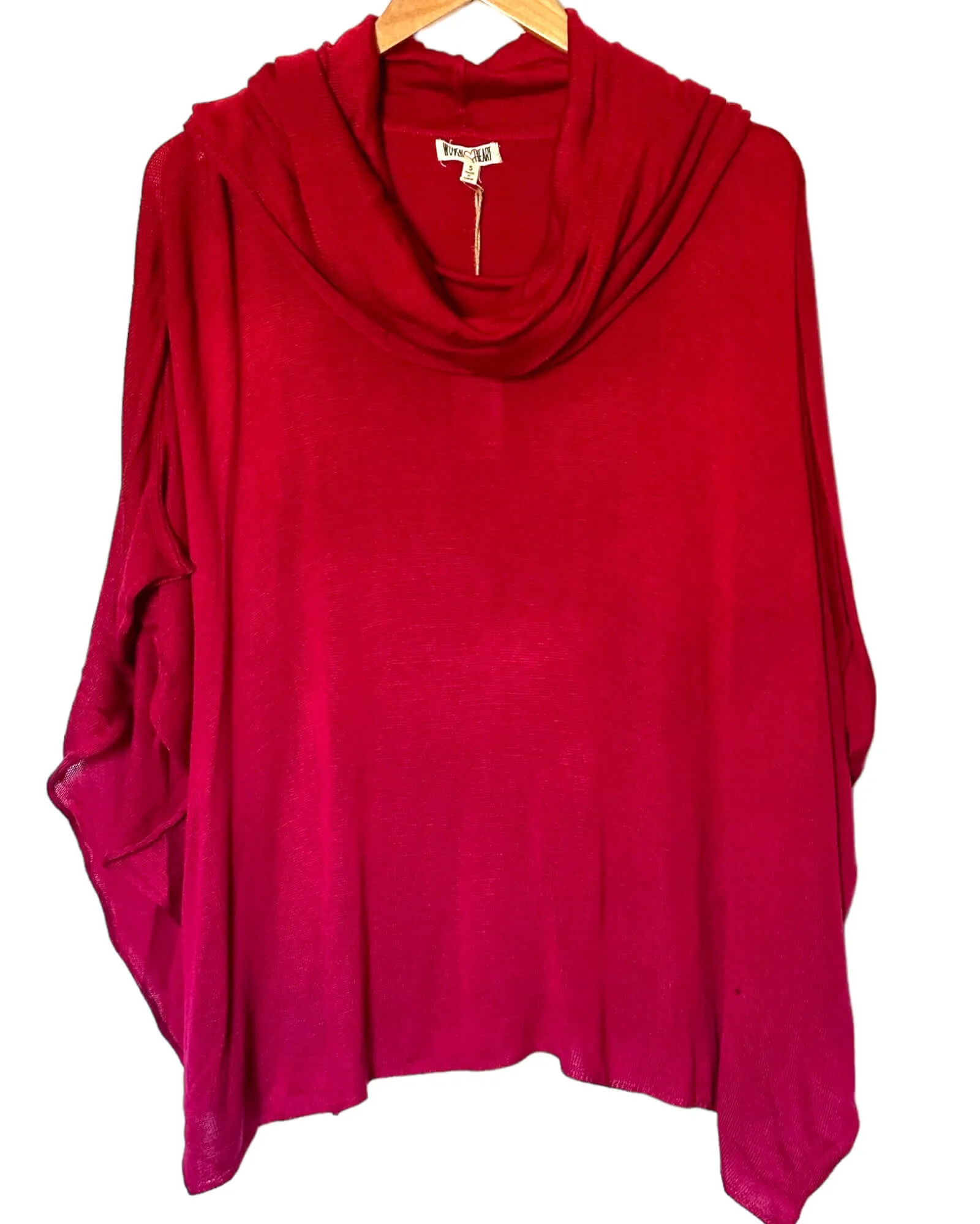 Cool Winter Raspberry Poncho