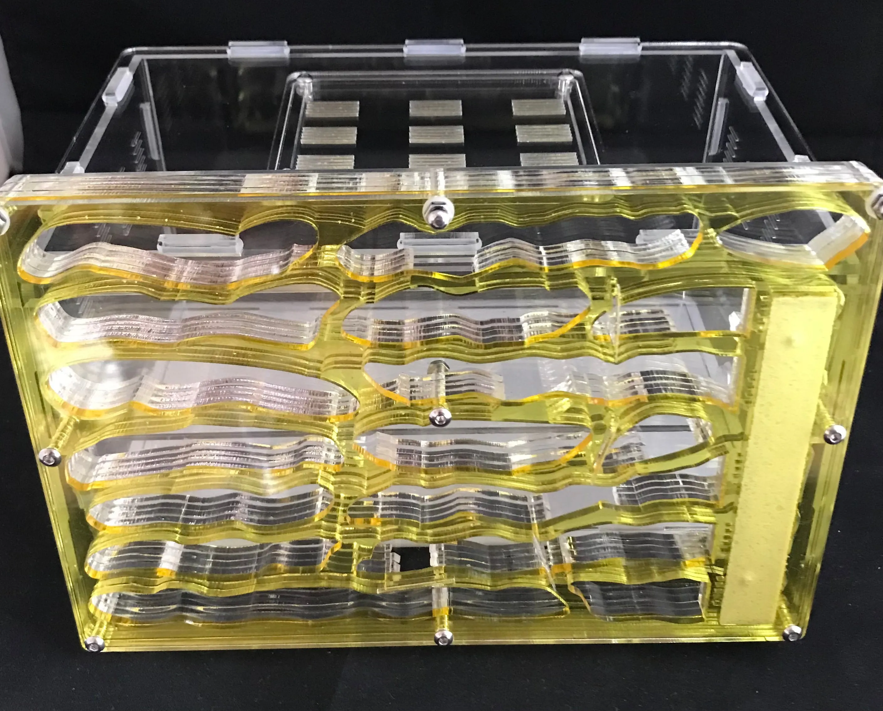 Large Vertical Antfarm and Outworld Combination