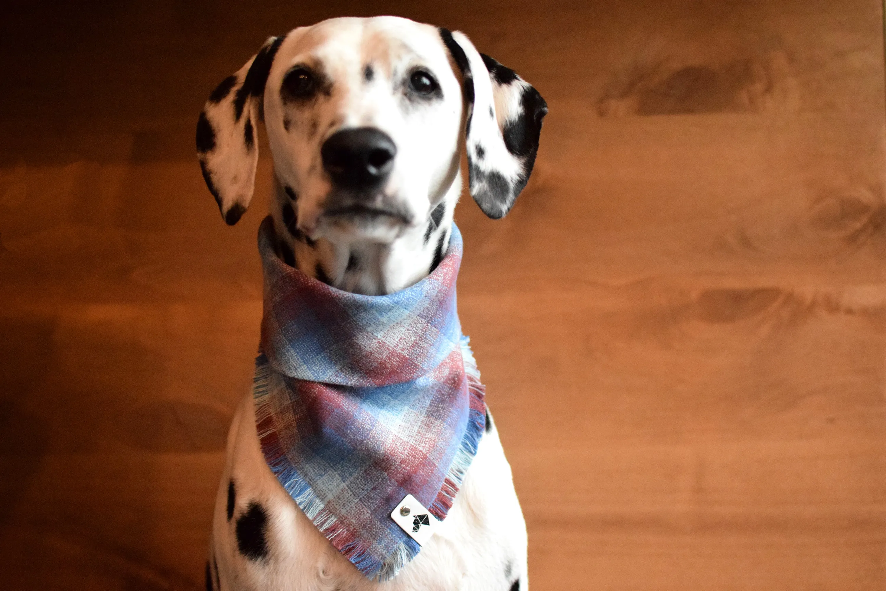 OPAL Fringed Flannel Dog Bandana - Snap/Tie On Cotton Scarf