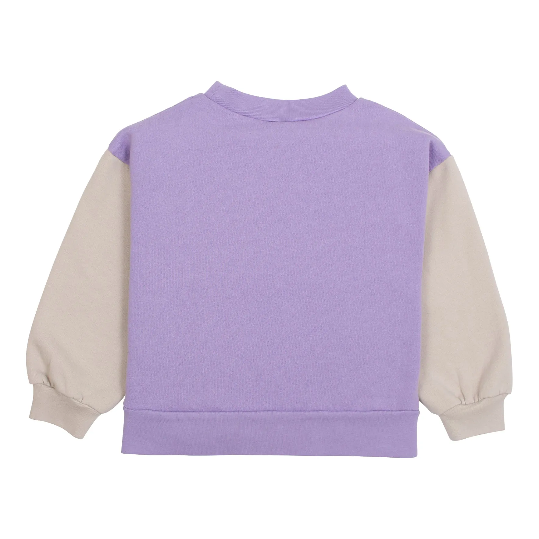 Panel Sweatshirt